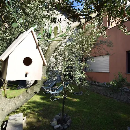 Lägenhet Flat Le Vigne